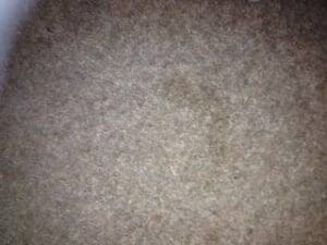 Stain on carpet from badly packaged goods