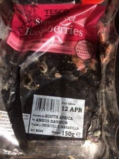 Insect in raspberries Tesco
