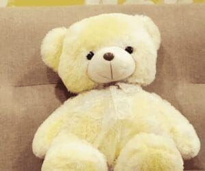 Teddy bear
