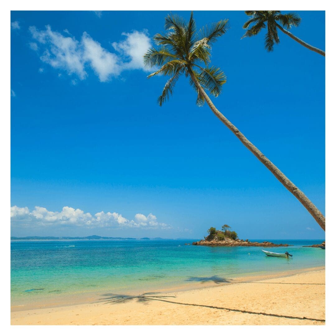 Blue sky palm tree bending over the sand towards the sea