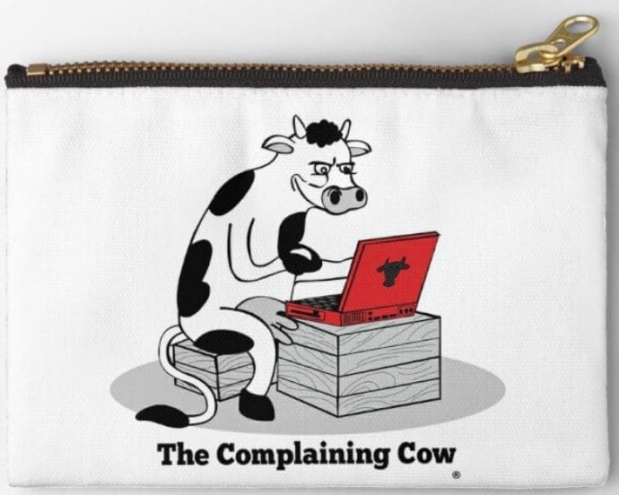 The complaining Cow logo cartoon black and white cow sitting on box at laptop on another box. Red laptop
