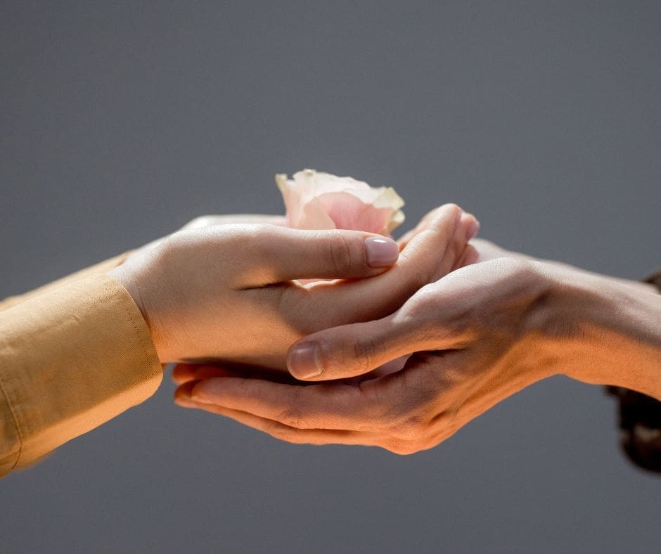 outstretched light brown arm and hand on top of another coming from the left with flower on top hand