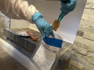 Woman in early 50s short wavy blond white hair white overall blue gloves putting biscuit into evidence bag